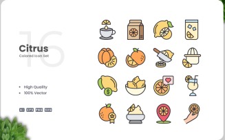 16 Citrus Icon Color Collection