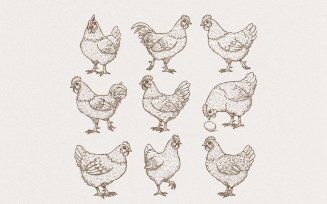 Vintage Chicken Lover PNG Sublimation Design, Farm Life Digital Download, Retro Floral Cottagecore,