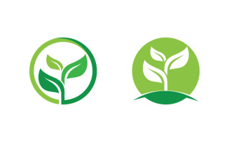 Organic Leaf Logo nature Healthy vegan concept illustration v.35