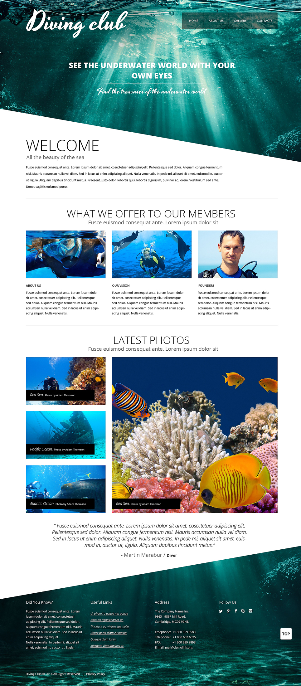 Diving Responsive Website Template New Screenshots BIG
