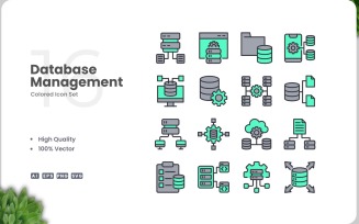 16 Database Management Icon Color Set