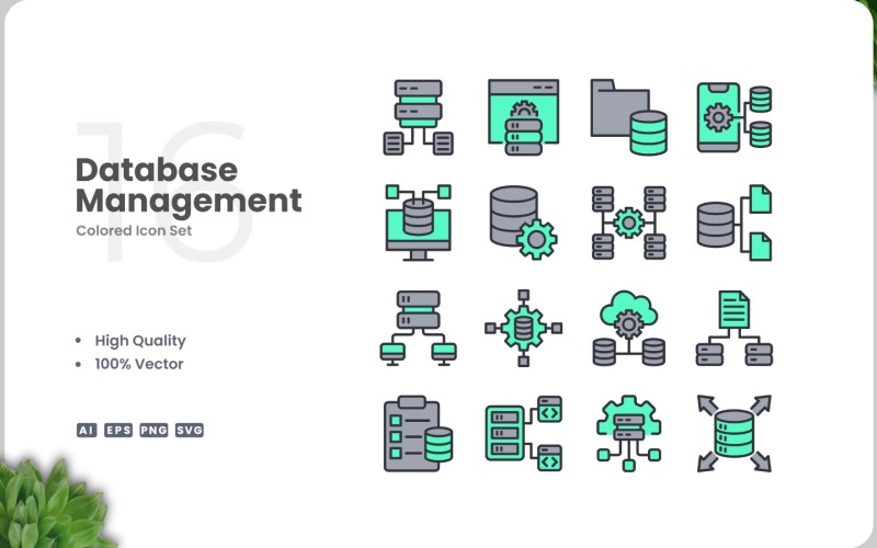 16 Database Management Icon Color Set Icon Set