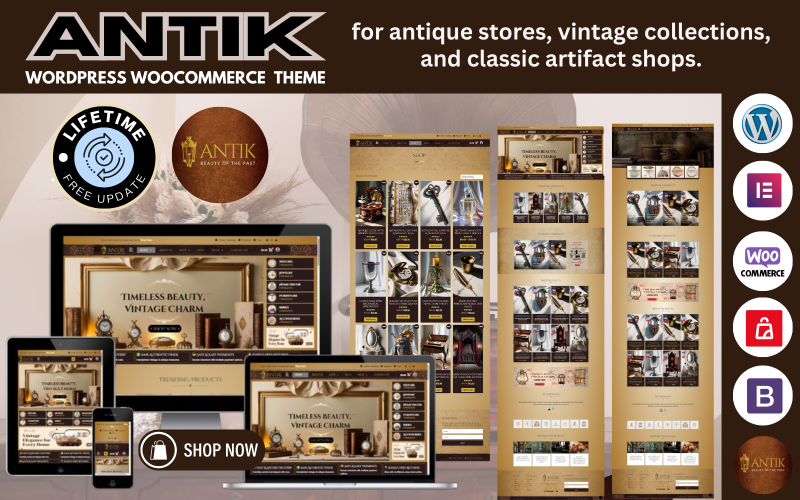Antik - Antique & Art Gallery Store WooCommerce Elementor Wordpress Template WooCommerce Theme