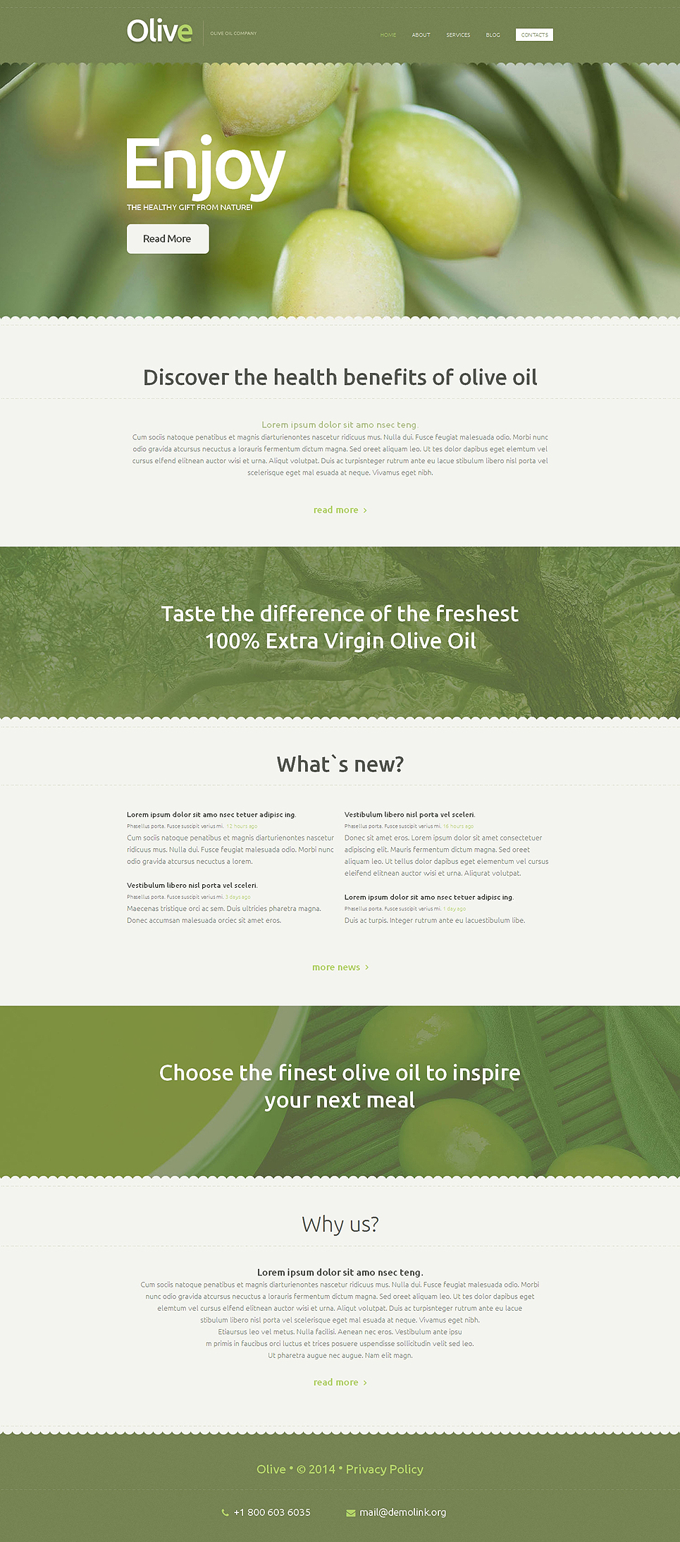 Food Store Responsive Website Template 50541