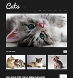 WordPress Theme  #50613