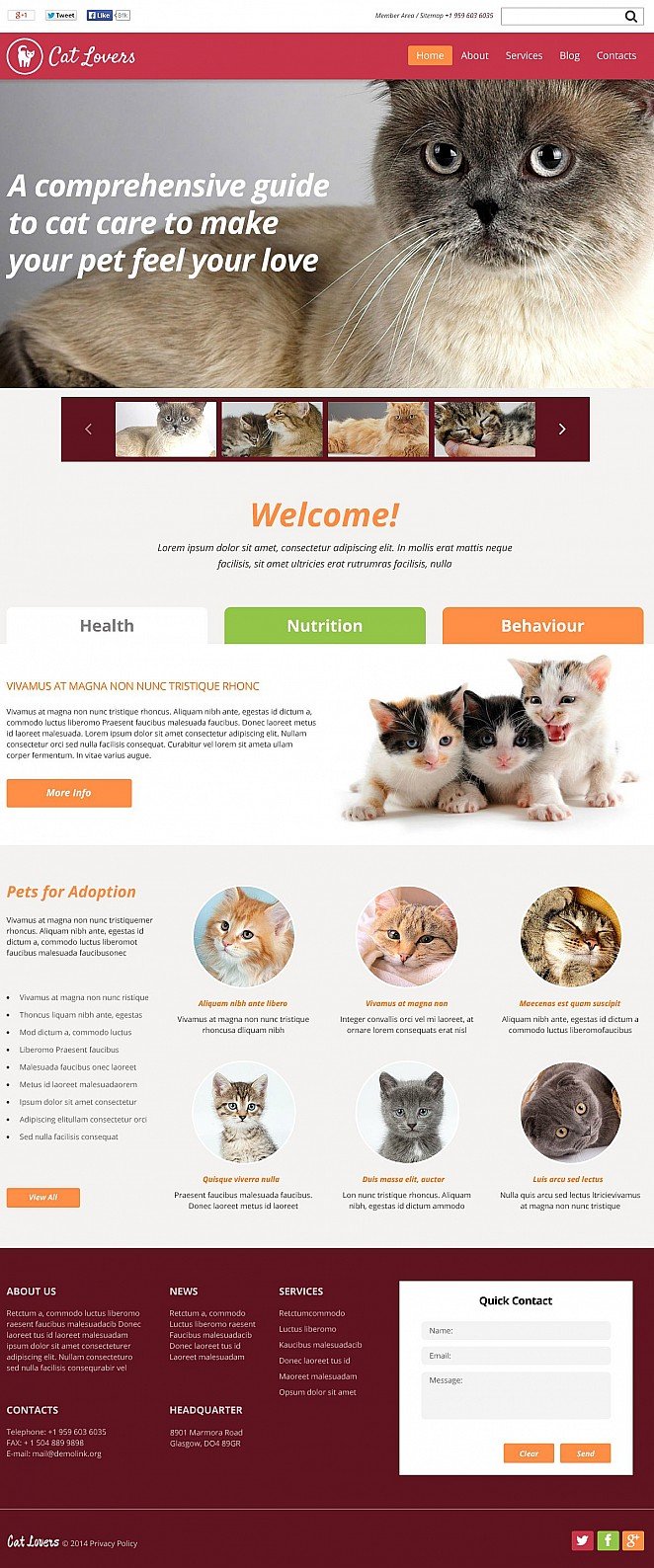 Cat Flash CMS Template New Screenshots BIG