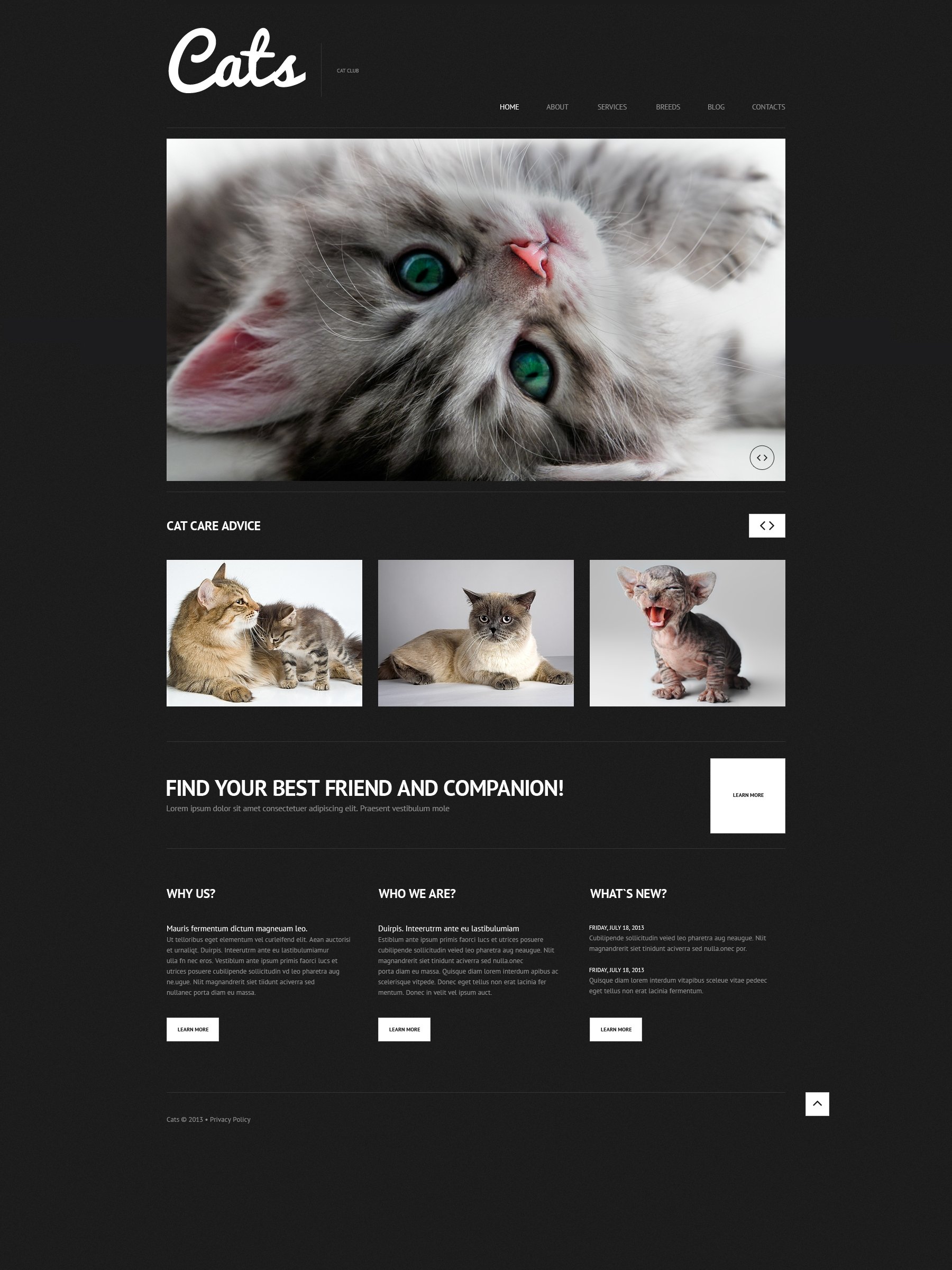 Reszponzív Macskák témakörű WordPress sablon 50613