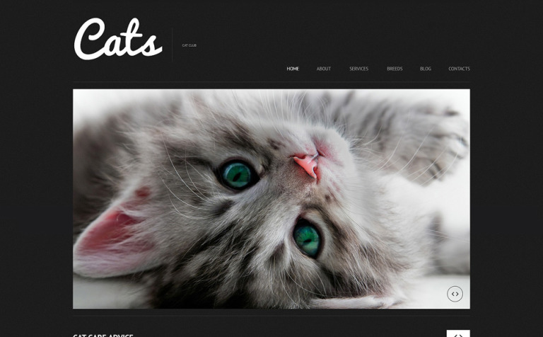Zoo Responsive WordPress Template Big Screenshot Zoo Responsive WordPress Theme New Screenshots BIG