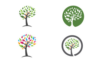 Healthy life tree leaf concept logo design template v.29
