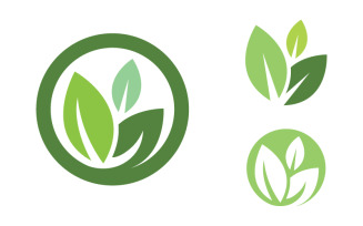 Healthy life tree leaf concept logo design template v.38