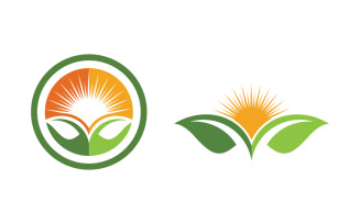 Healthy life tree leaf concept logo design template v.40