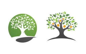 Healthy life tree leaf concept logo design template v.51