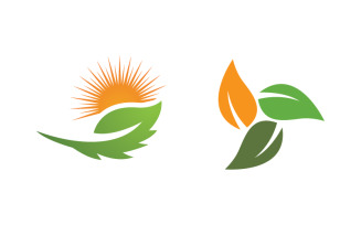 Healthy life tree leaf concept logo design template v.54