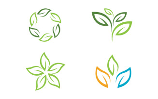 Healthy life tree leaf concept logo design template v.57