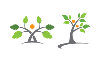 Healthy life tree leaf concept logo design template v.58