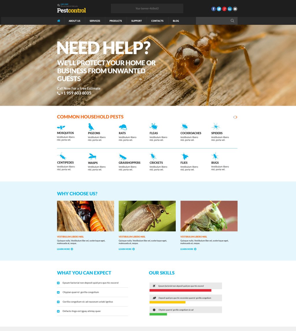 demo-preview-for-pest-control-responsive-website-template-50731