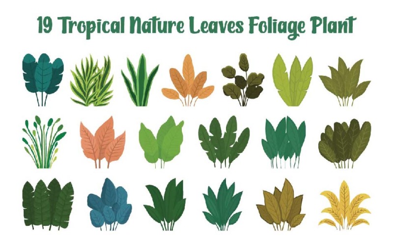 19 Tropical Nature Leaves Foliage Plant Illustration