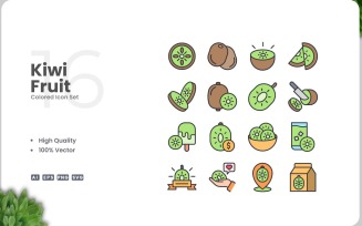 16 Kiwi Fruit Colored Icons Set