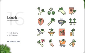 16 Leek Colored Icons Set