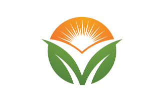 Green Tree leaf ecology nature element vector design v.29