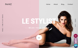 Paniz - Fashion and Apparel WordPress Elementor Theme