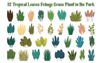 32 Tropical Leaves Foliage Grass Plant in the Park