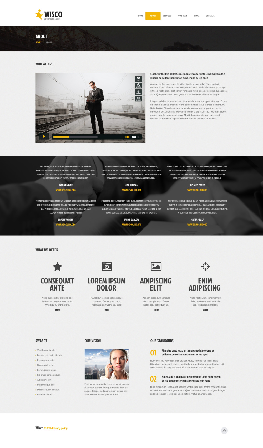 Premium wordpress themes picture