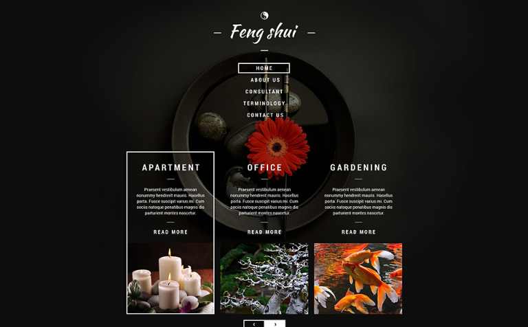 Feng Shui Responsive Website Template Big Screenshot Feng Shui Responsive Website Template New Screenshots BIG