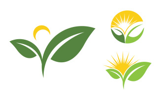 Green Tree leaf ecology nature element vector design v.38