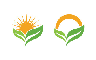 Healthy life tree leaf concept logo design template v.70