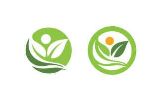 Healthy life tree leaf concept logo design template v.71