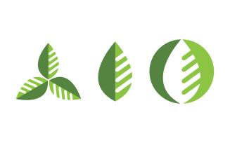 Healthy life tree leaf concept logo design template v.72