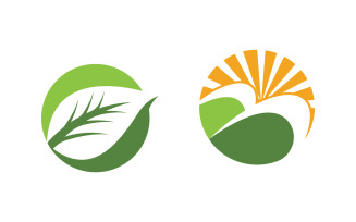 Healthy life tree leaf concept logo design template v.75