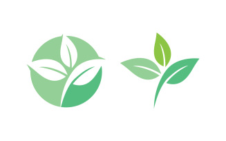 Healthy life tree leaf concept logo design template v.76