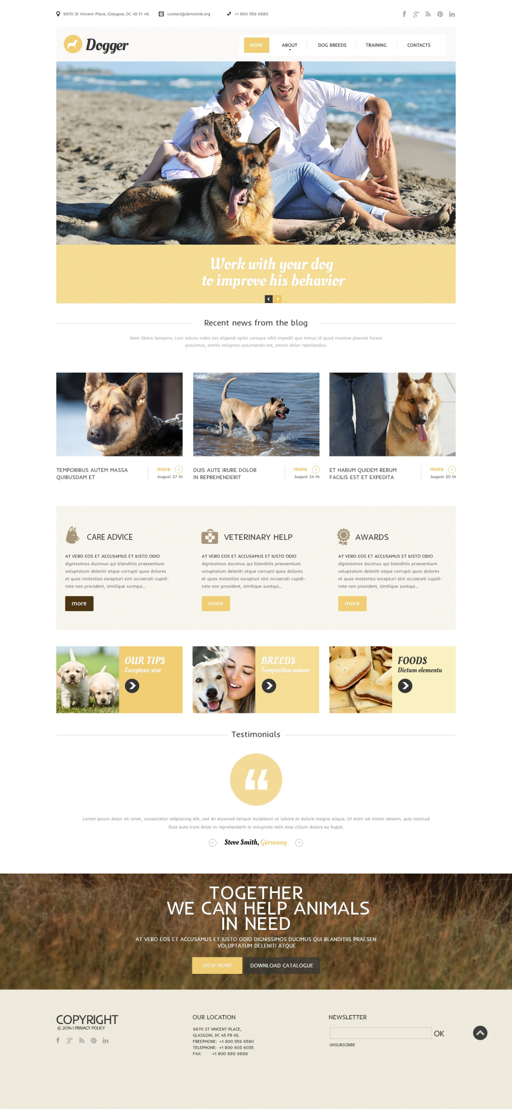 Website Template Webdesign Dogs Pet Websites Website