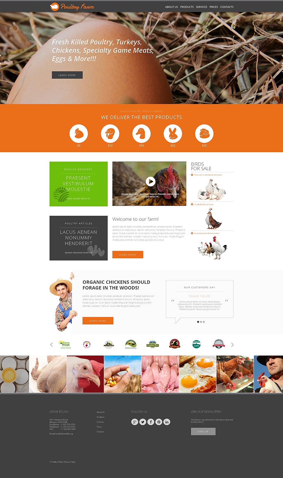 poultry-farm-responsive-website-template-51057