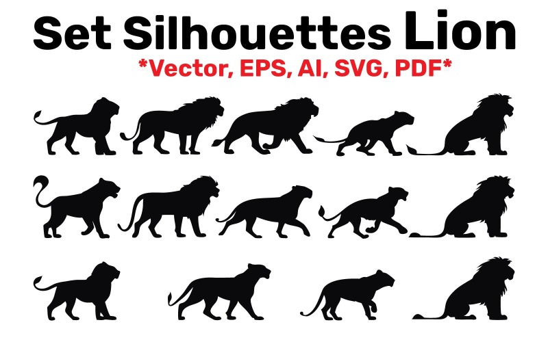 Set Silhouette Lion different poses, Vector, Easy to Edit isolated on white Background Illustration