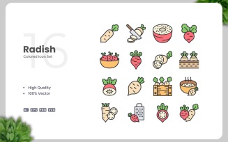 16 Radish Colored Icons Set