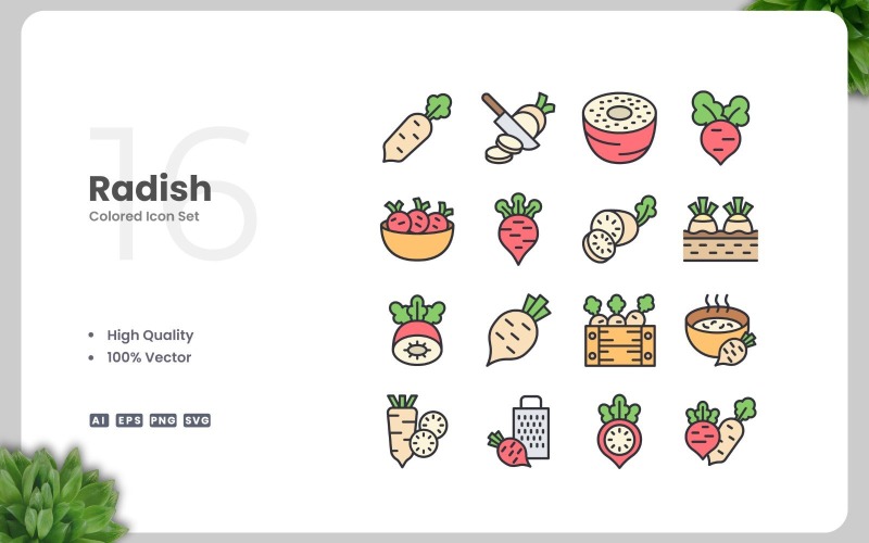 16 Radish Colored Icons Set Icon Set