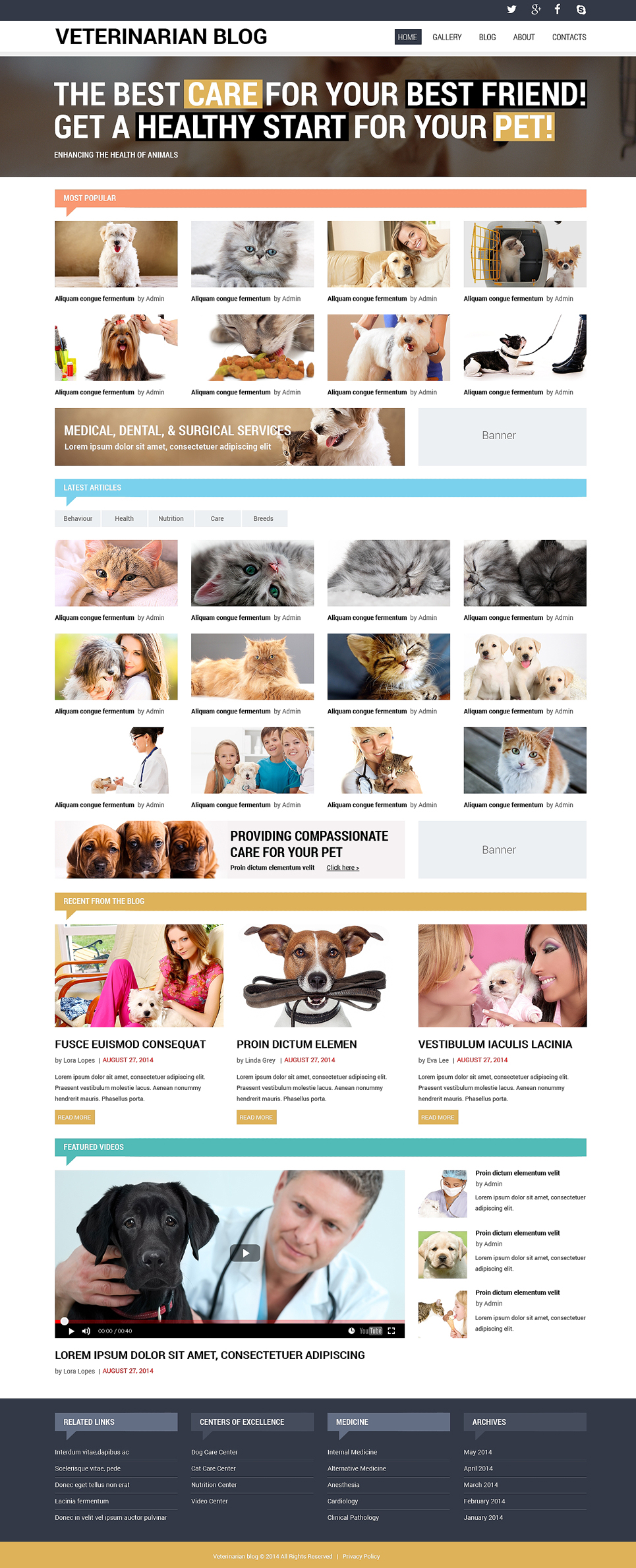 Vet Responsive Website Template New Screenshots BIG