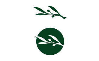 Olive oil logo beauty and spa design template V0