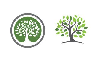 Nature leaf ecology vegan concept Logo illustration v.43