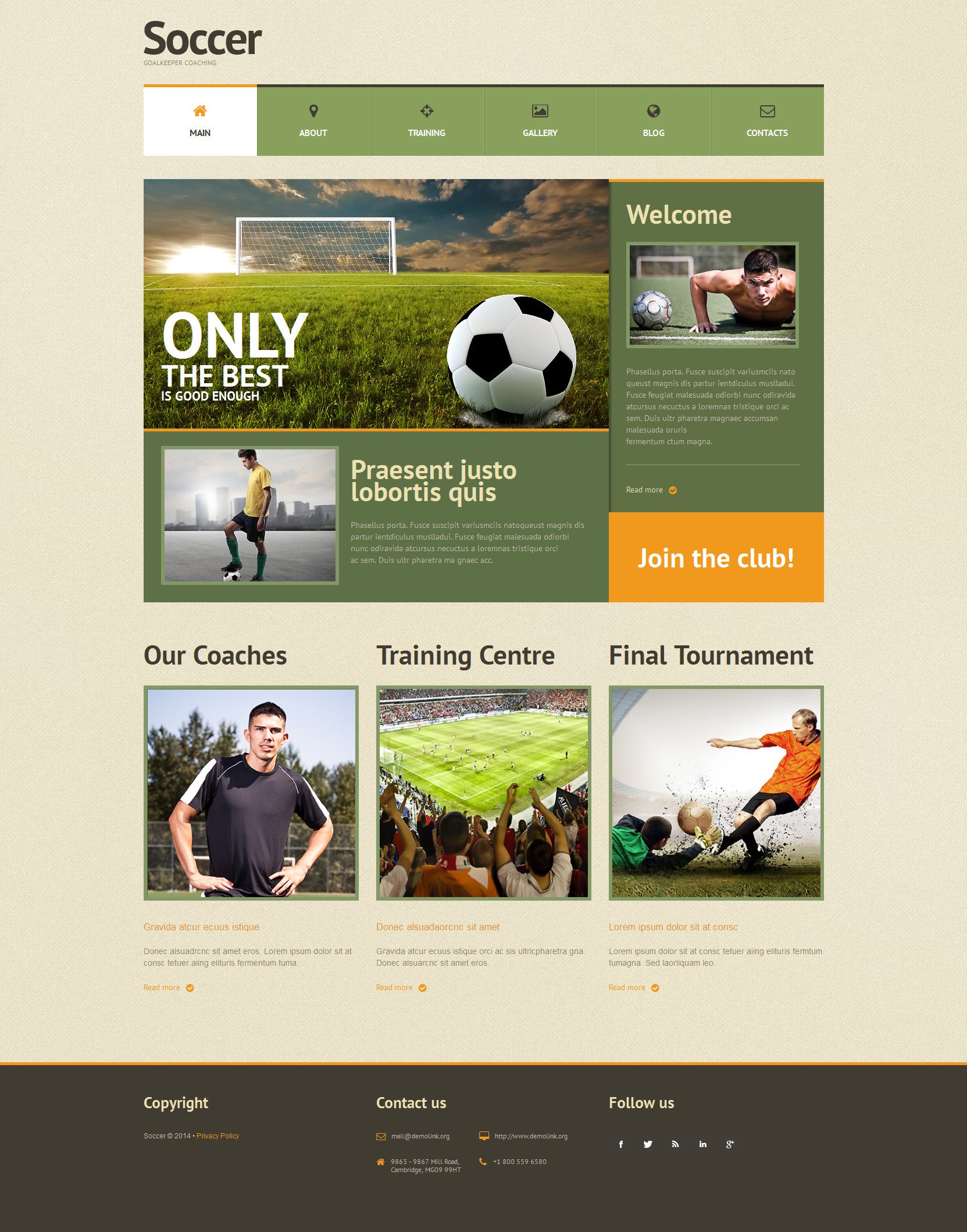 Football Responsive WordPress Theme - screenshot