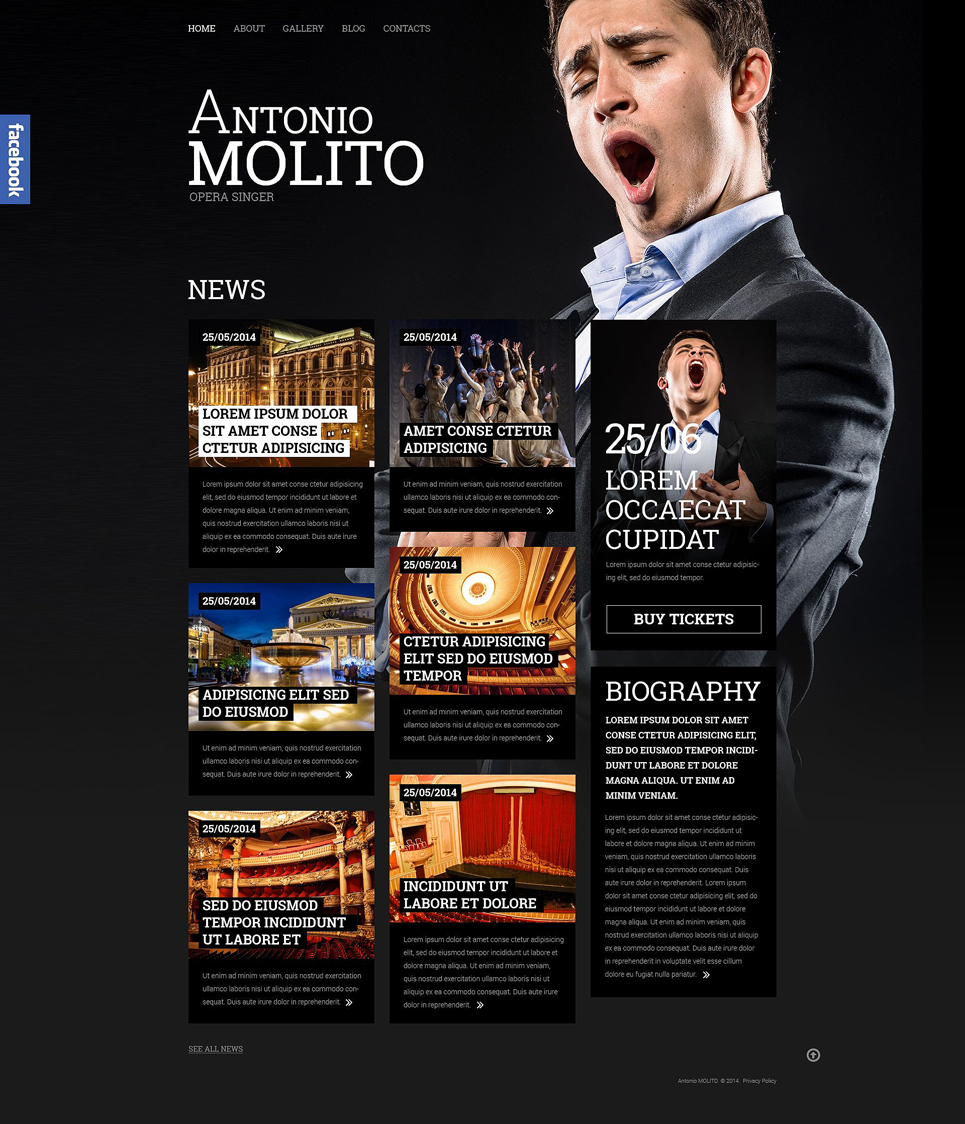 Singer Responsive Website Template New Screenshots BIG