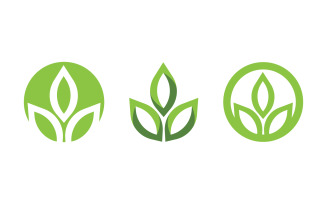 Nature leaf ecology vegan concept Logo illustration v.79