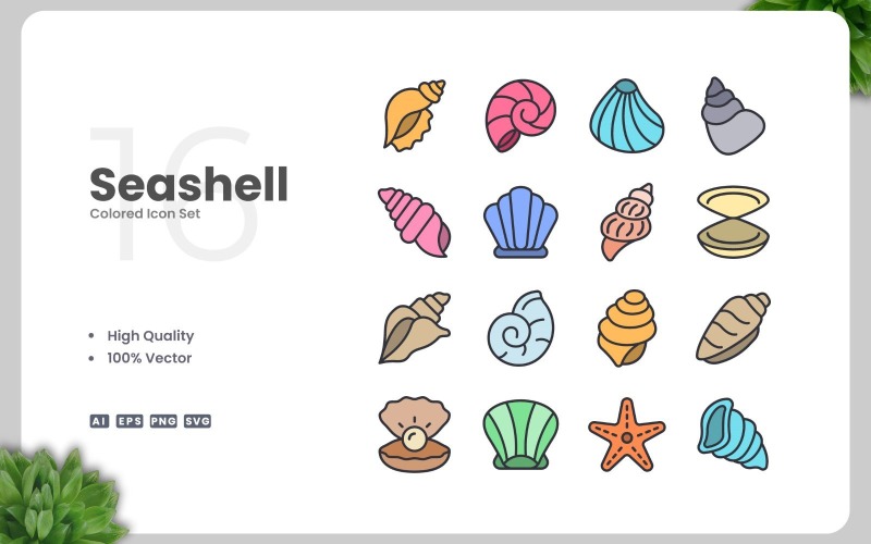 16 Seashell Colored Icons Set Icon Set