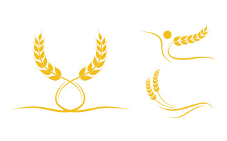 Agriculture farm wheat rice vector illustration design v.1