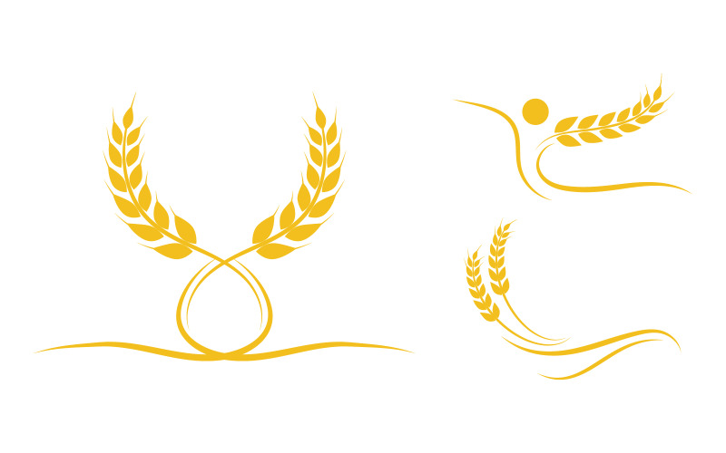 Agriculture farm wheat rice vector illustration design v.1 Logo Template