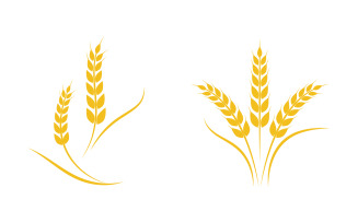 Agriculture farm wheat rice vector illustration design v.5