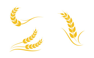 Agriculture farm wheat rice vector illustration design v.6